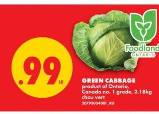 GREEN CABBAGE