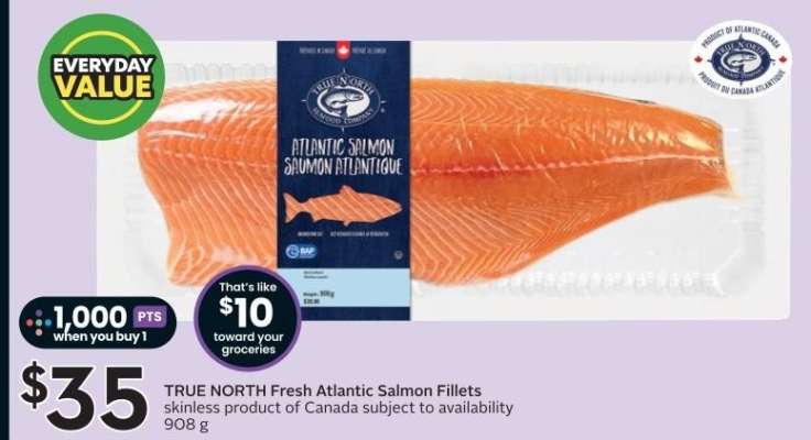 TRUE NORTH Fresh Atlantic Salmon Fillets