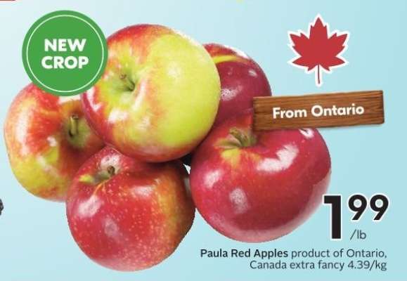 PAULA RED APPLES