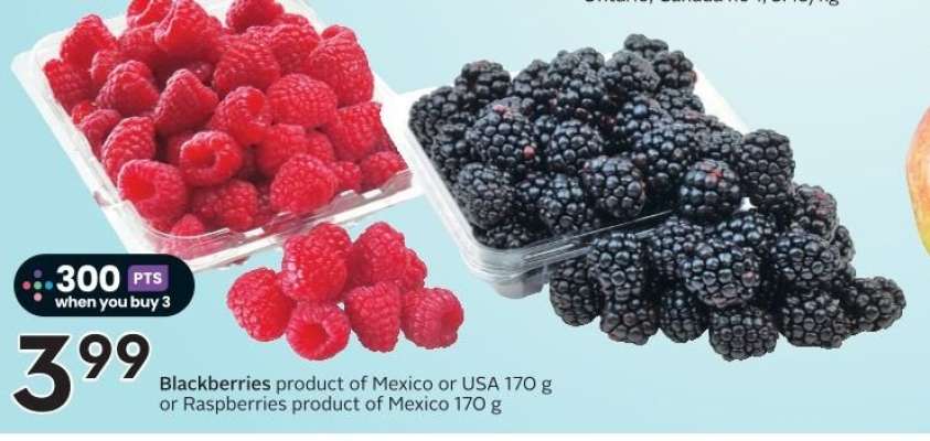 Blackberries or Raspberries
