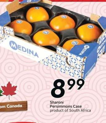 Sharoni Persimmons Case