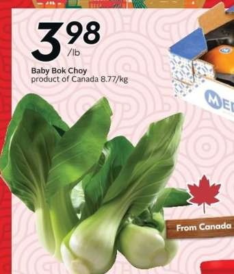 Baby Bok Choy