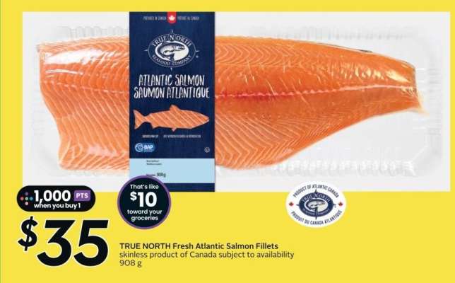TRUE NORTH Fresh Atlantic Salmon Fillets