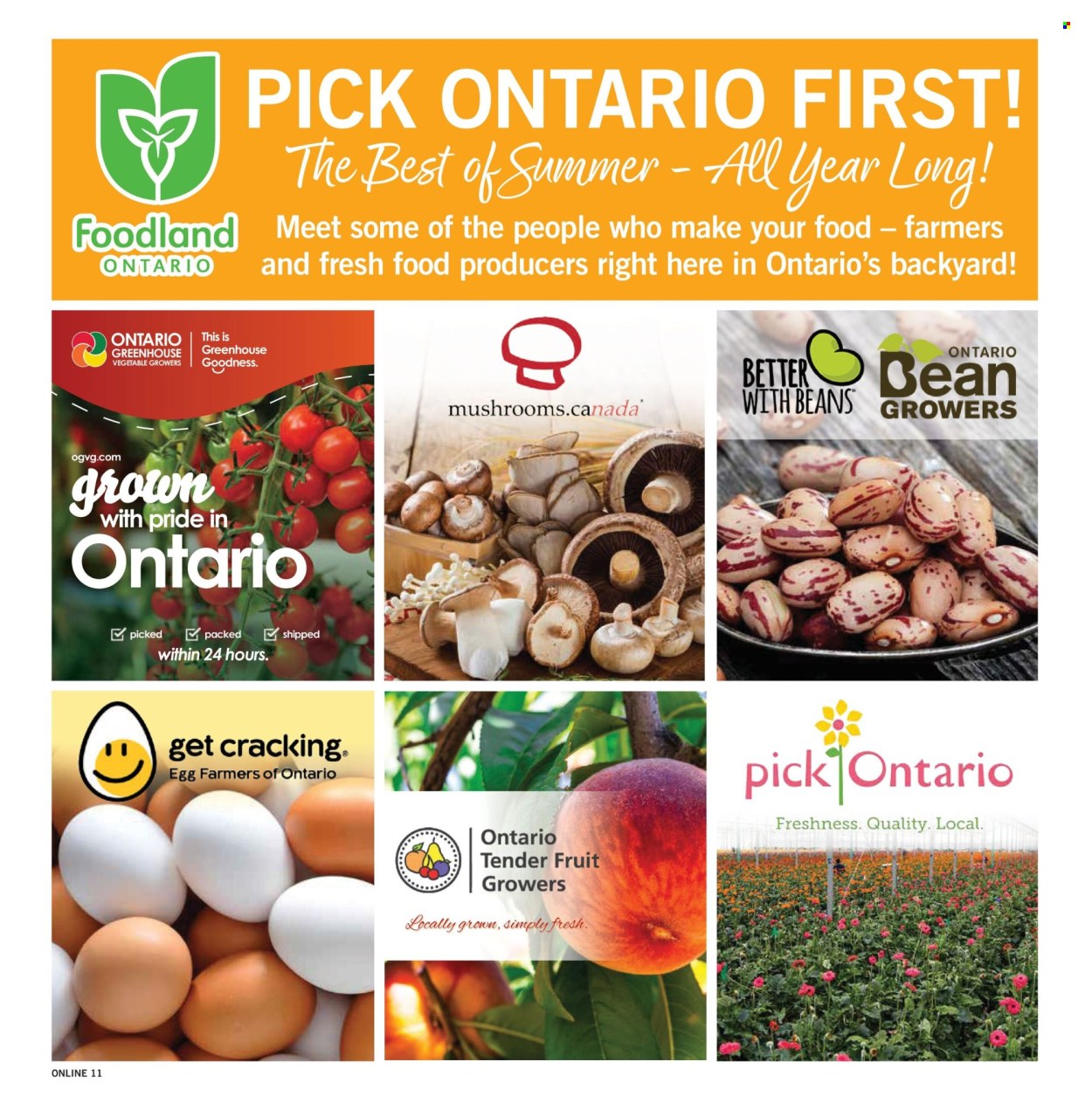 Fortinos flyer  - August 20, 2026 - August 26, 2026. Page 11