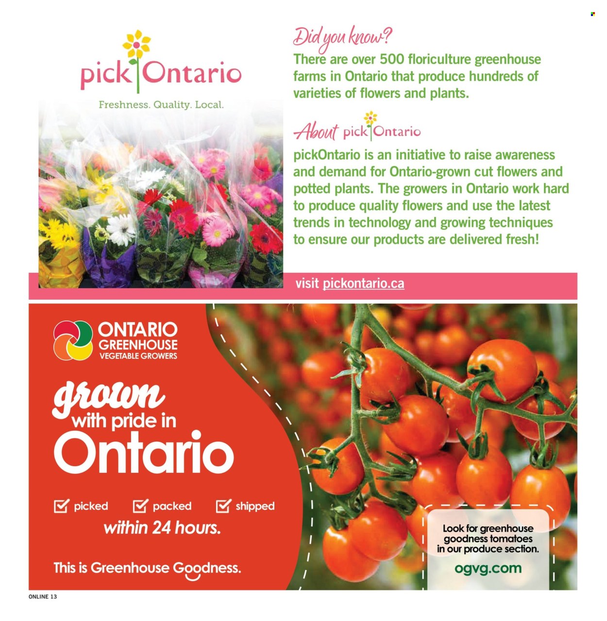 Fortinos flyer  - August 20, 2026 - August 26, 2026. Page 13