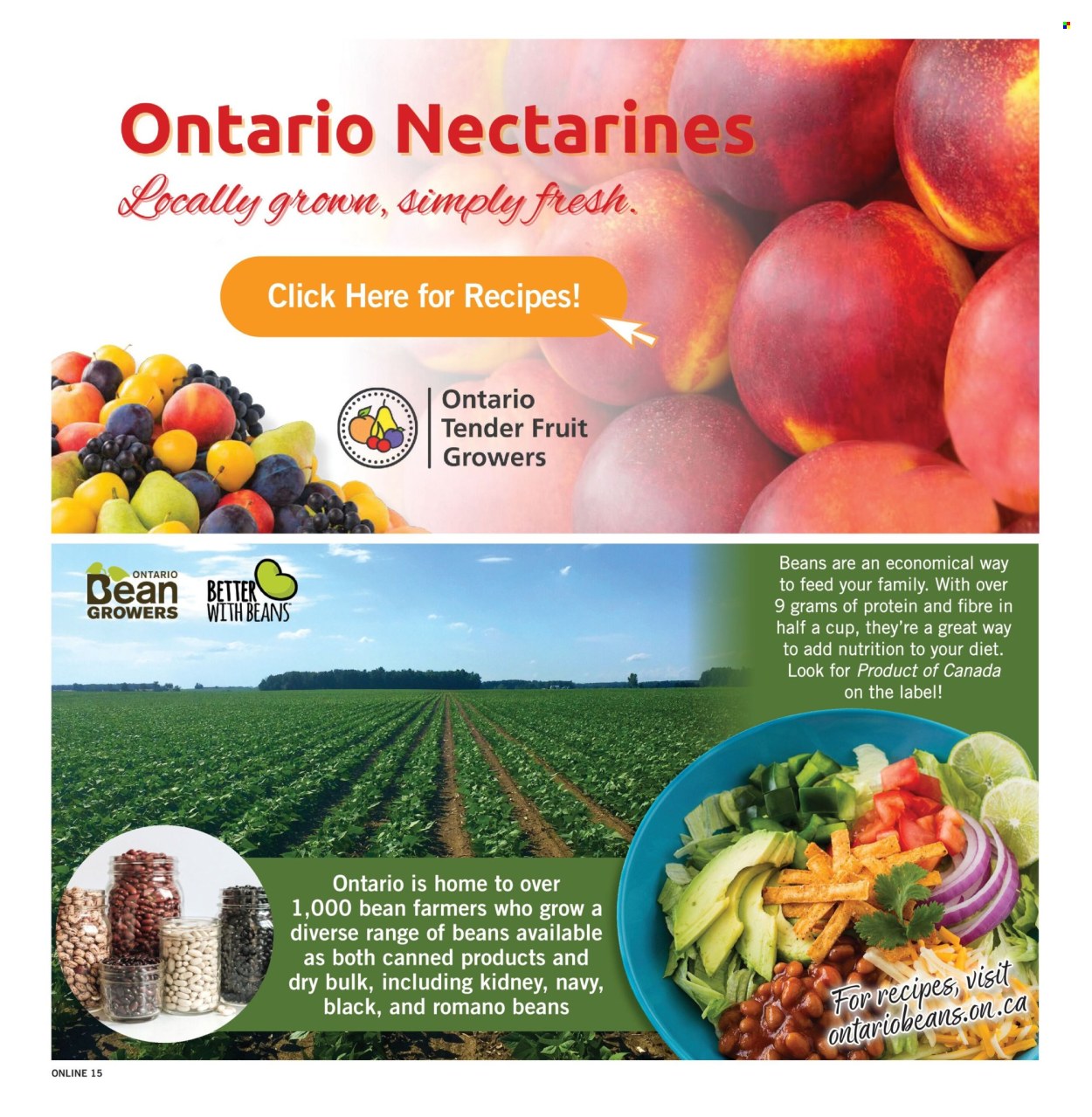 Fortinos flyer  - August 20, 2026 - August 26, 2026. Page 15