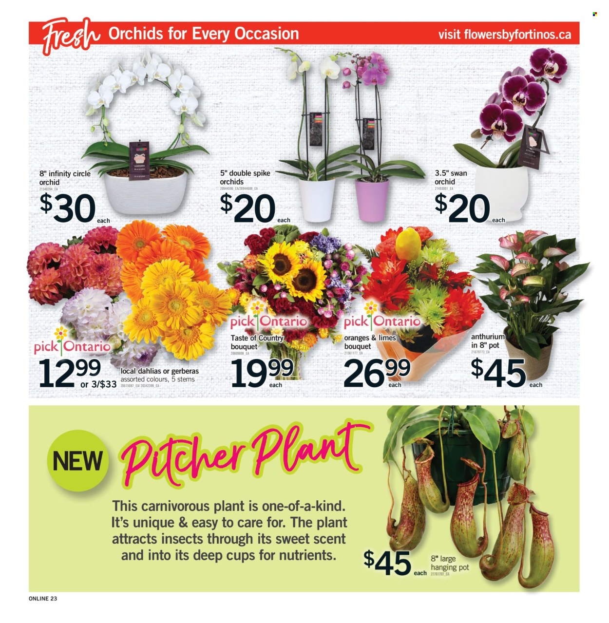 Fortinos flyer  - August 20, 2026 - August 26, 2026. Page 23