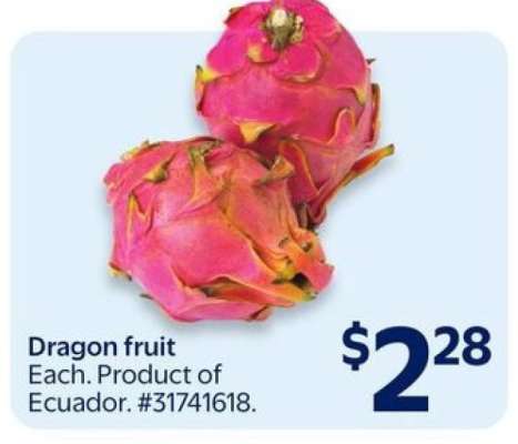 DRAGON FRUIT