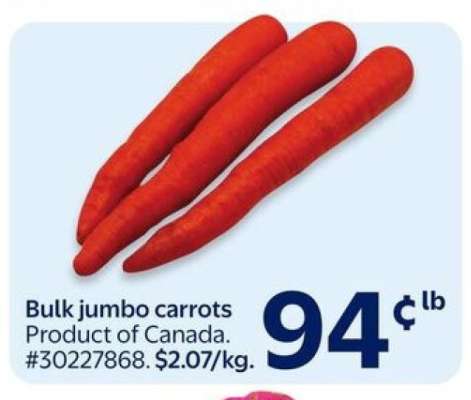 Bulk Jumbo Carrots