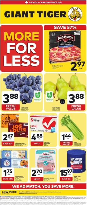 Giant Tiger - Weekly Flyer
