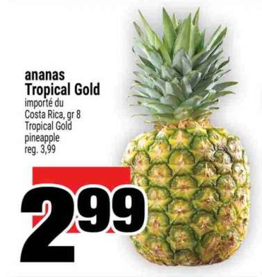 ANANAS TROPICAL GOLD