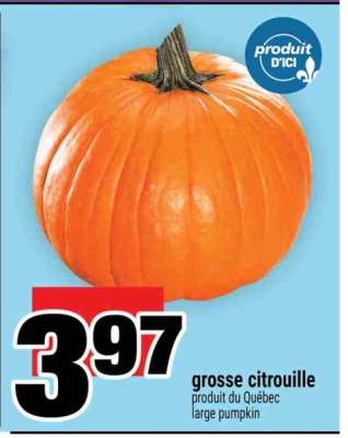 grosse citrouille
