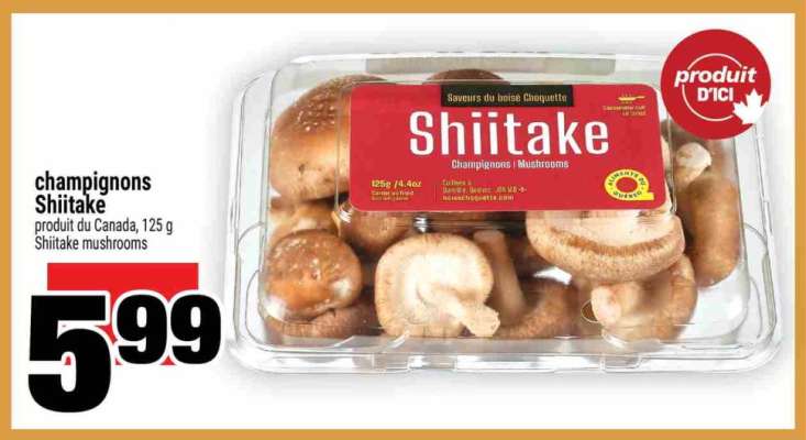 champignons shiitake