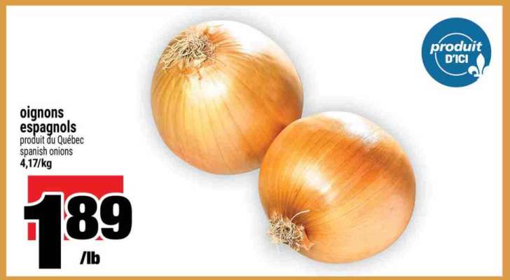 oignons espagnols