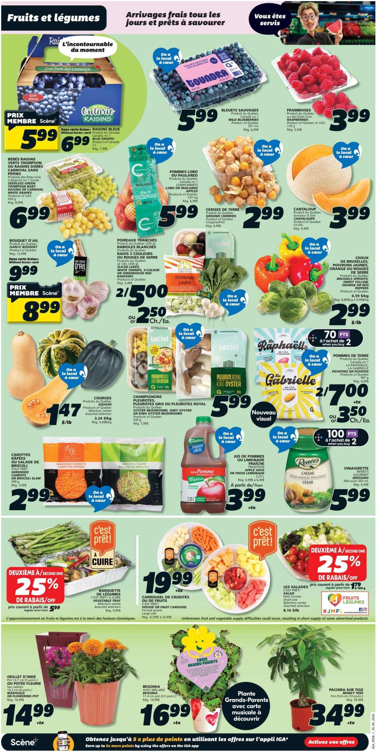 IGA flyer  - September 10, 2026 - September 16, 2026. Page 4