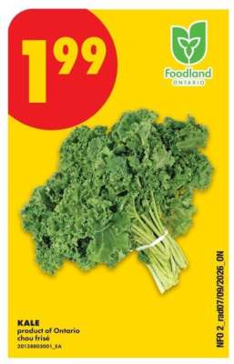 KALE