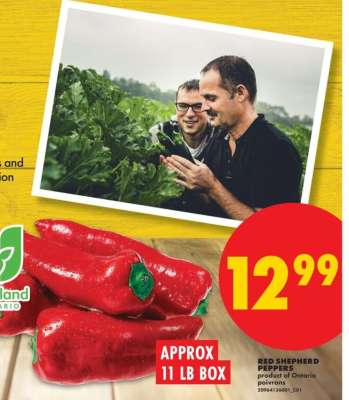 RED SHEPHERD PEPPERS