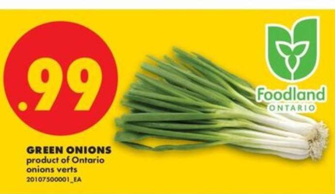 Green Onions