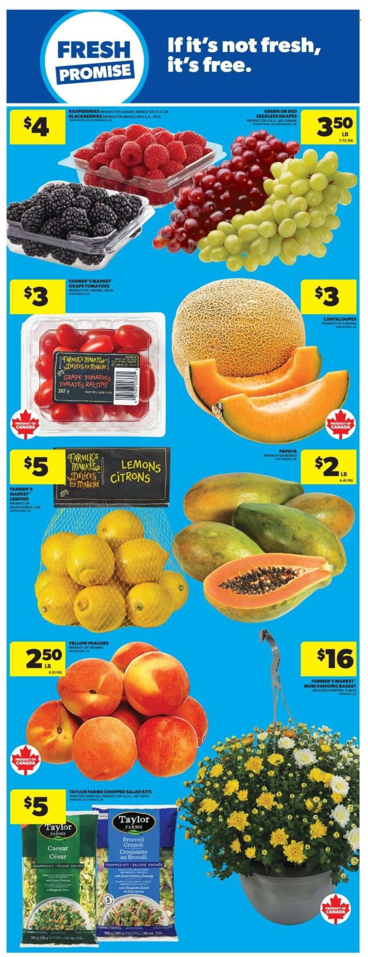 Real Canadian Superstore flyer  - September 10, 2026 - September 16, 2026. Page 7