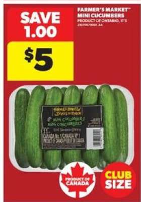 FARMER'S MARKET MINI CUCUMBERS