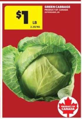 GREEN CABBAGE