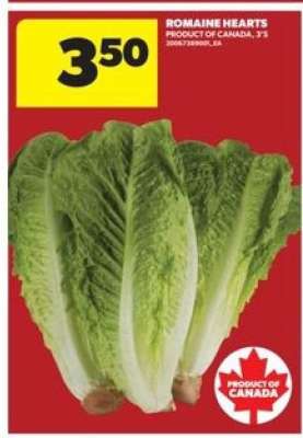 ROMAINE HEARTS