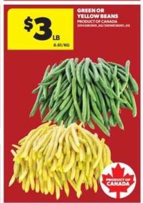 GREEN or YELLOW BEANS