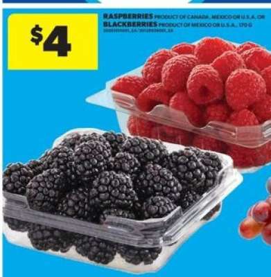 RASPBERRIES OR BLACKBERRIES