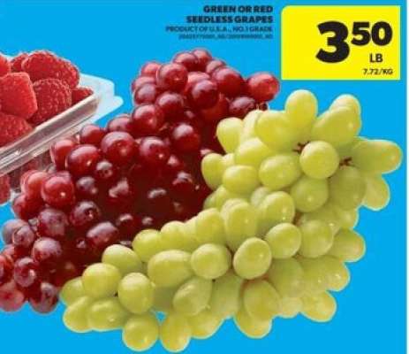 GREEN or RED SEEDLESS GRAPES