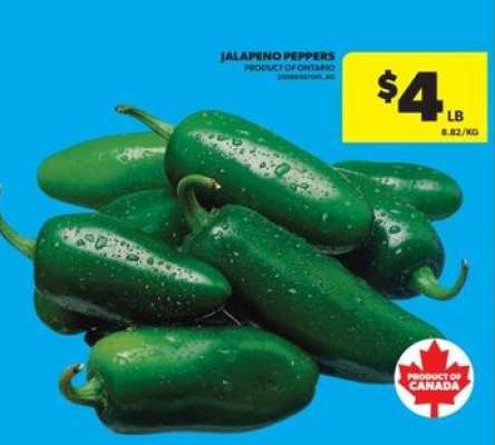 JALAPEÑO PEPPERS