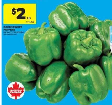 Green Sweet Peppers
