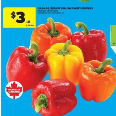 ORANGE, RED or YELLOW SWEET PEPPERS