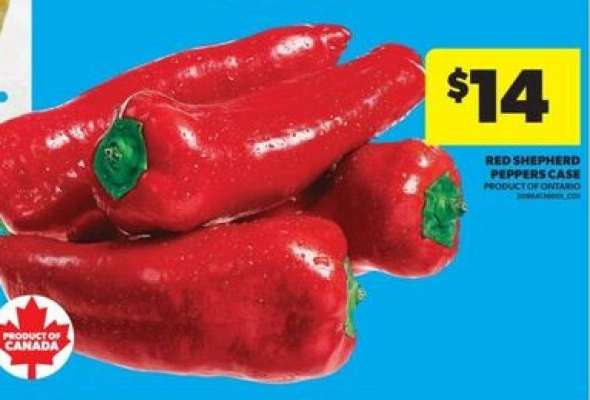Red Shepherd Peppers Case
