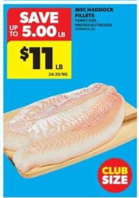 MSC Haddock Fillets
