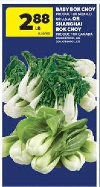 Baby Bok Choy or Shanghai Bok Choy