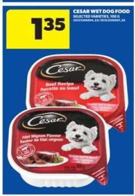 Cesar Wet Dog Food