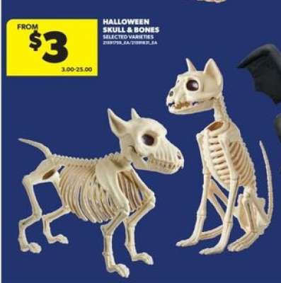 Halloween Skull & Bones