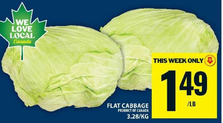 Flat Cabbage