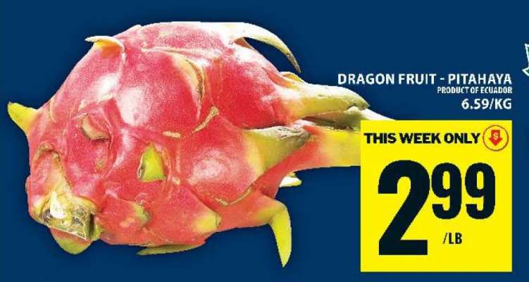 DRAGON FRUIT (PITAHAYA)