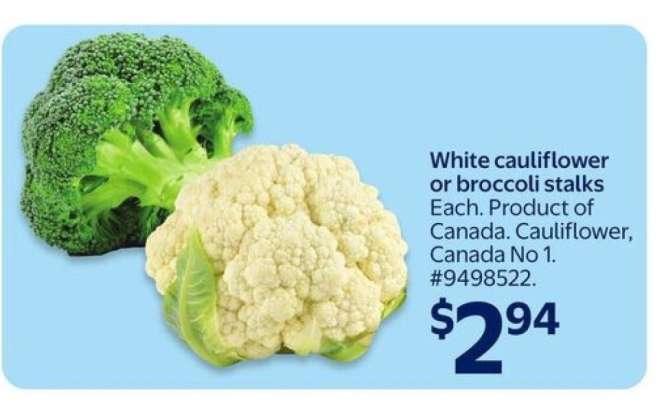 White Cauliflower or Broccoli Stalks