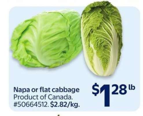Napa or Flat Cabbage