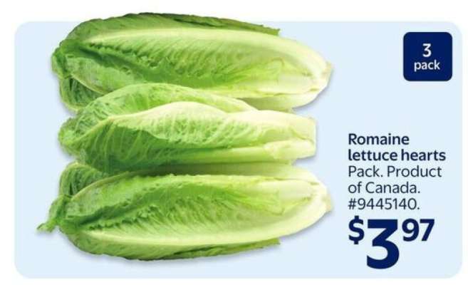 Romaine Lettuce Hearts