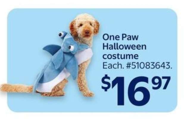 One Paw Halloween Costume