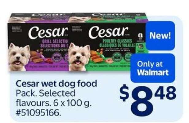 Cesar Wet Dog Food