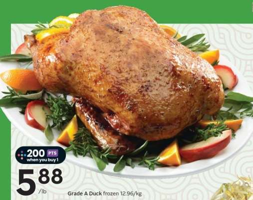 GRADE A DUCK
