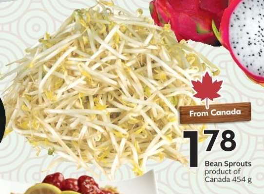 Bean Sprouts