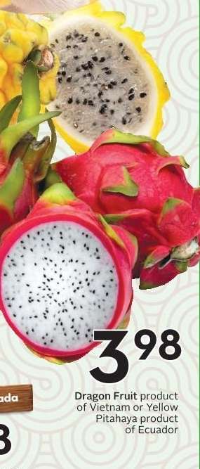 DRAGON FRUIT