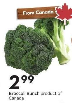 Broccoli Bunch