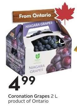Coronation Grapes