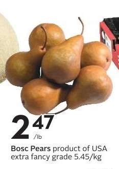 Bosc Pears